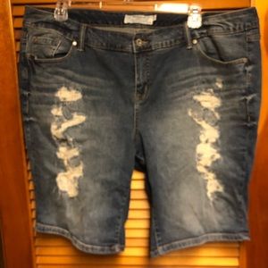 Torrid Distressed Bermuda Shorts